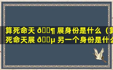 算死命天 🐶 展身份是什么（算死命天展 🐵 另一个身份是什么）